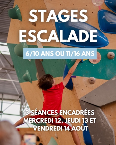 Stage escalade en août